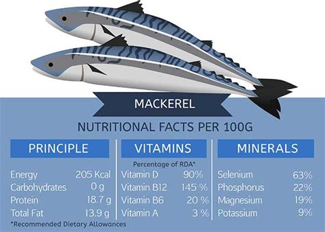 canned mackerel health benefits.